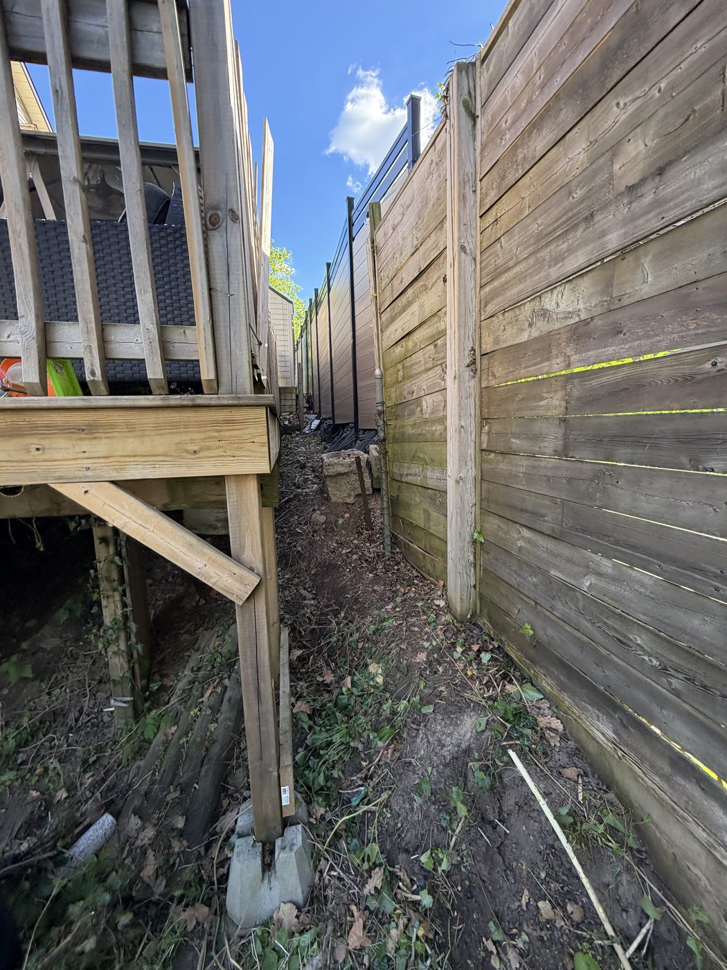 Same side yard cleared after cleanup