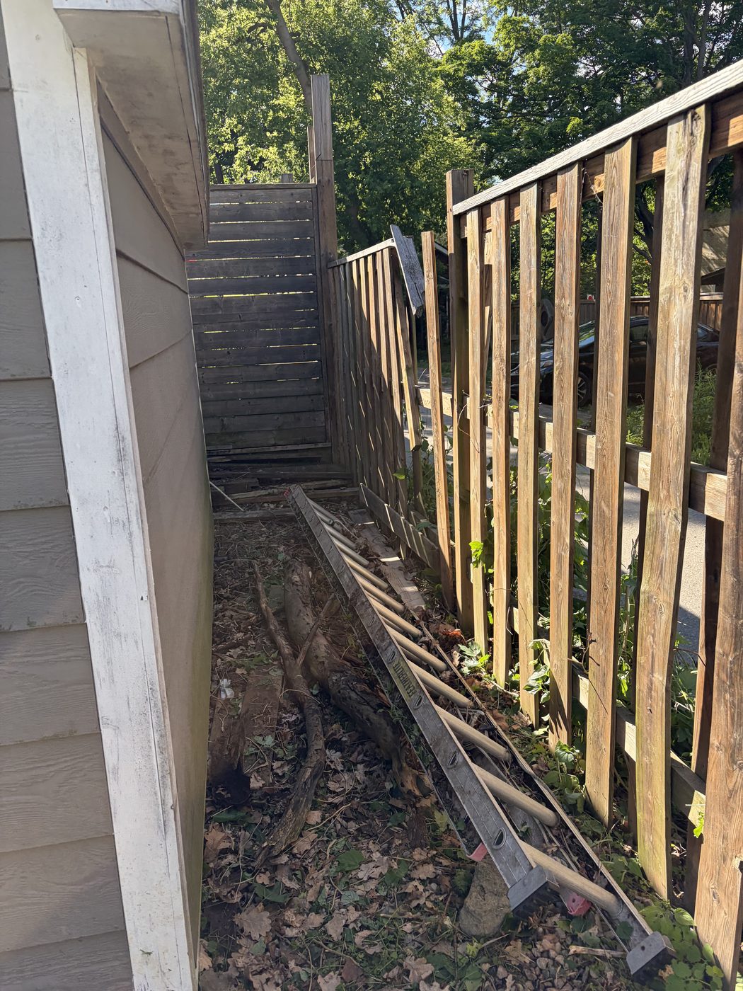 Same passage cleared to bare ground after cleanup