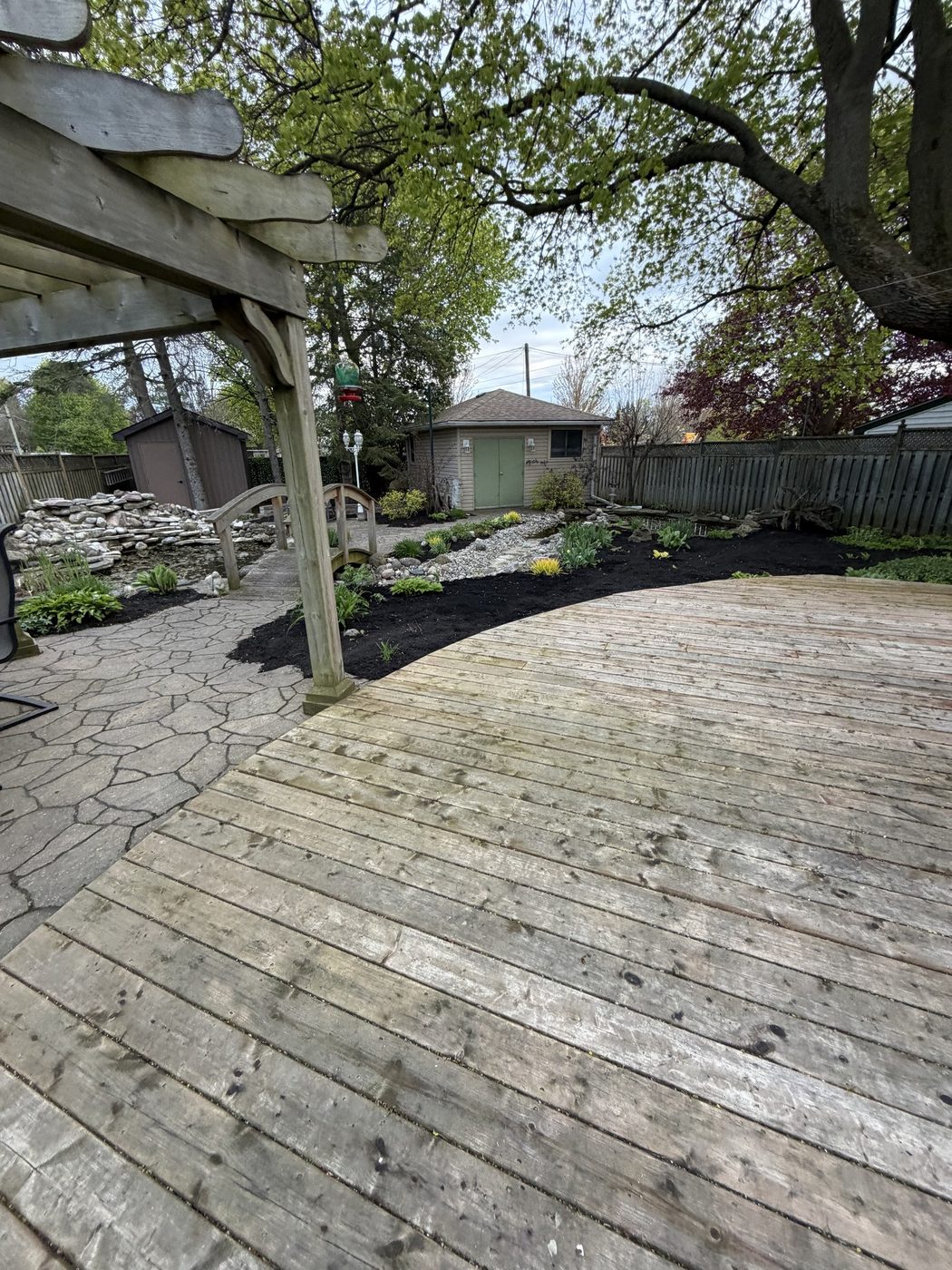 Same backyard with fresh black mulch and tidy planted beds after