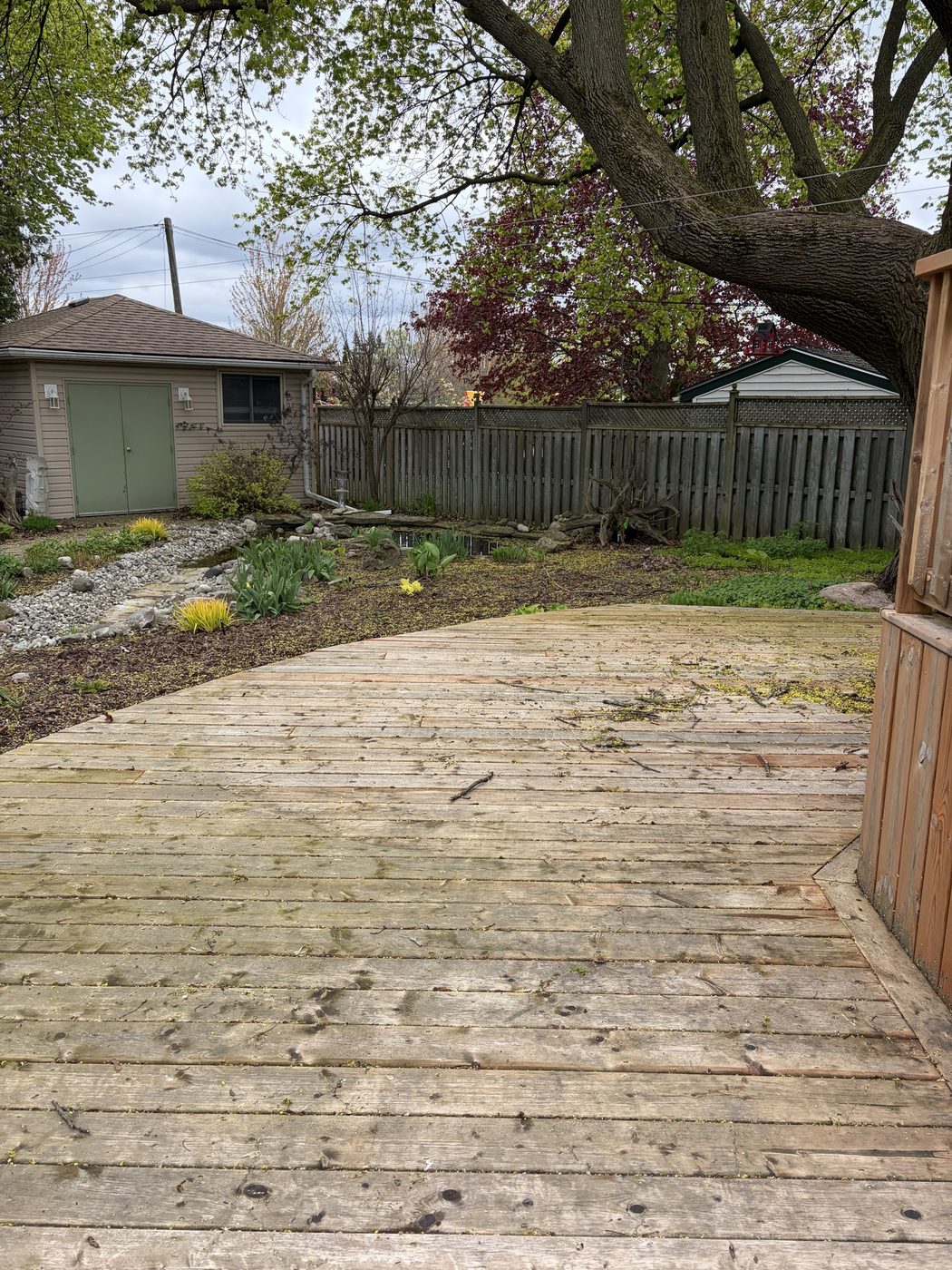 Tired backyard beds and mossy deck before work