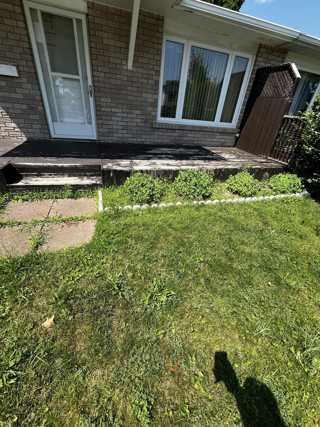 Overgrown front entrance bed with straggly shrubs before