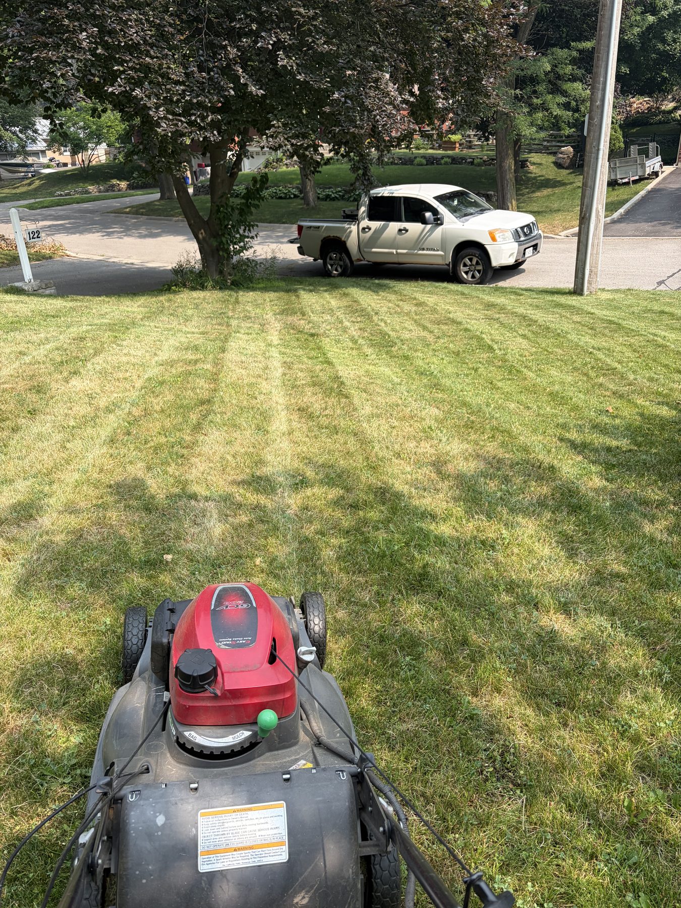Freshly mowed lawn with clean mowing stripes